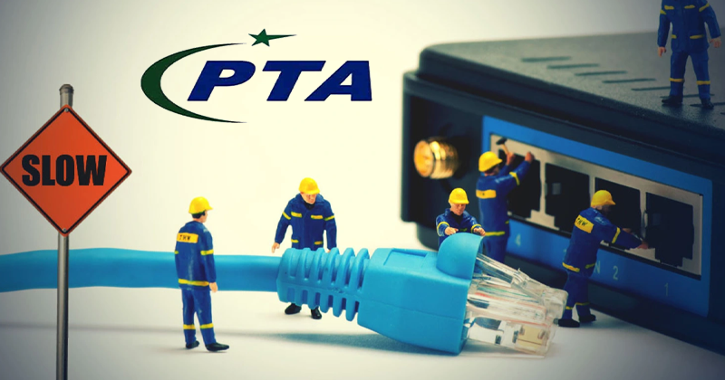 5pta kideadinskjdjd.png